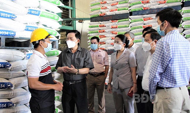 Đoàn lãnh đạo tỉnh Bình Định đi kiểm tra công tác phòng chống Covid-19.
