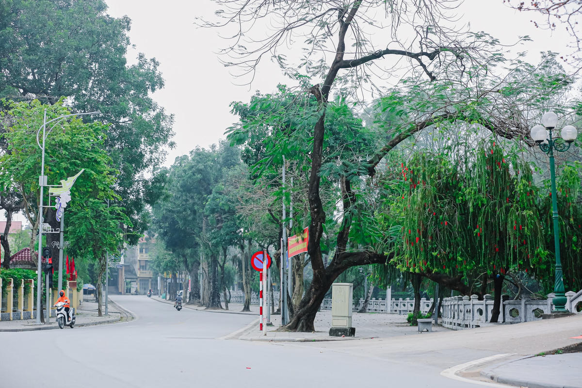 Thời gian hoạt động phố đi bộ từ 19h tối thứ bảy đến 12h ngày chủ nhật hằng tuần. Dự kiến tuyến phố đi vào hoạt động vào dịp 30/4 - 1/5 tới đây.