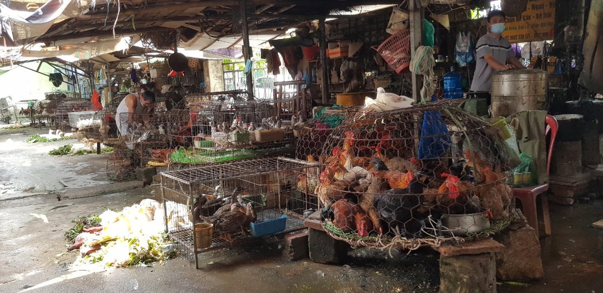 Hàng thịt gia cầm tại chợ Tó chỉ có chủ và hàng.