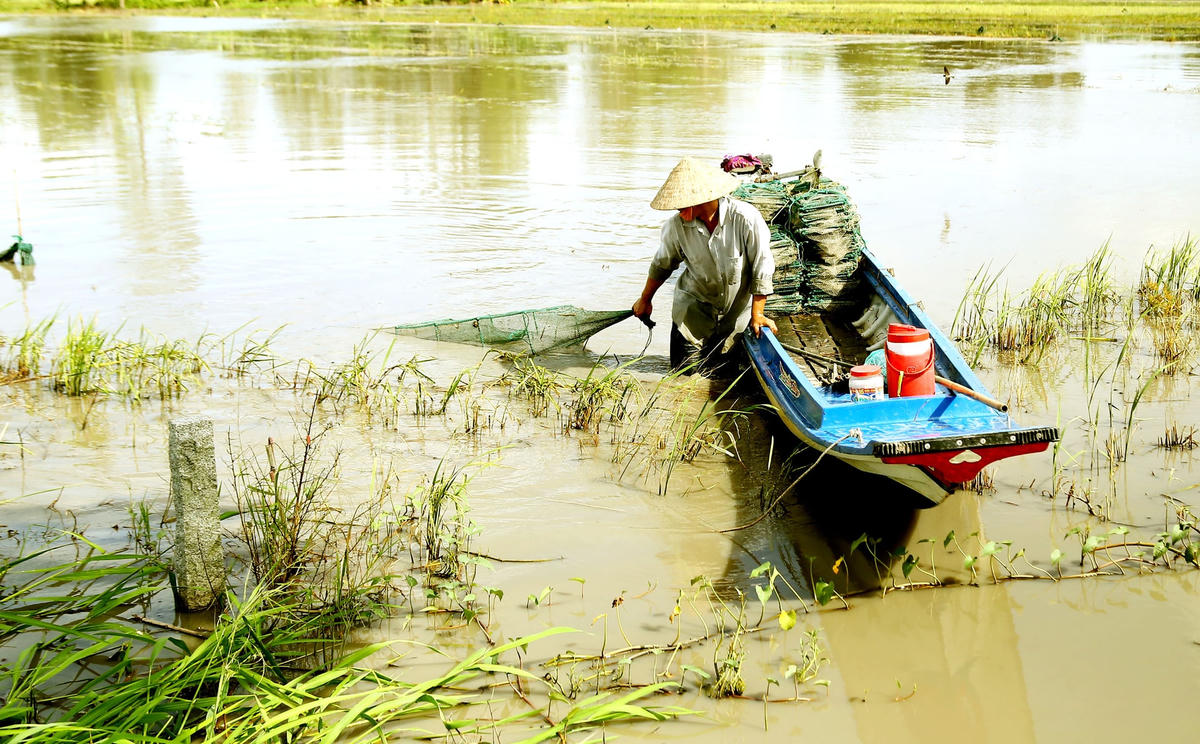 Đặt lú (người dân còn có cái tên khác là 12 cửa ngục) được người dân đặt ở các cánh đồng.