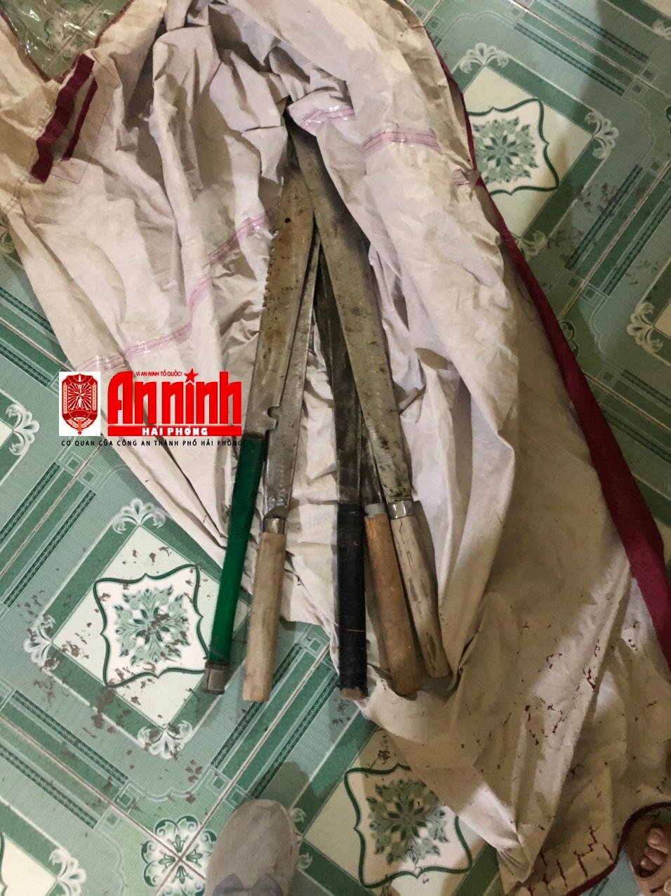 Tang vật gây án. Ảnh: Báo An ninh Hải Phòng