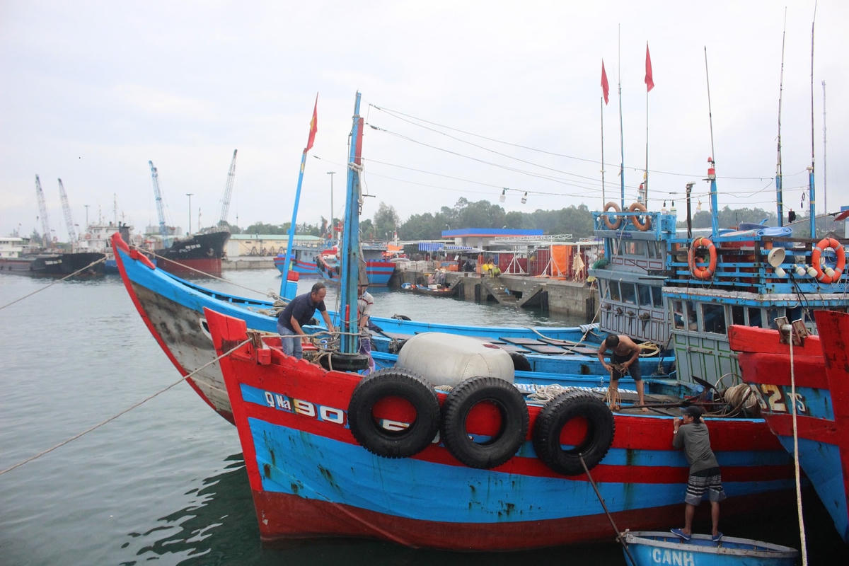 Các tàu thuyền vào bờ trú tránh bão số 5.