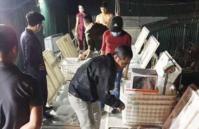 Nhiều công ty vẫn nhập khẩu cá tầm Trung Quốc hàng loạt, quá số lượng, khách giống loài được cấp phép.  