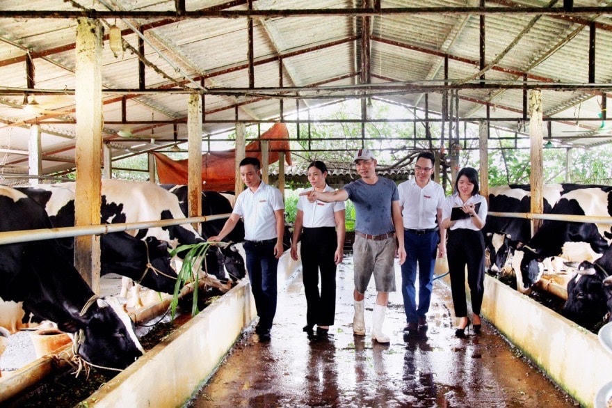 Sức mạnh đoàn kết làm nên thương hiệu Agribank trong hơn 3 thập kỷ
