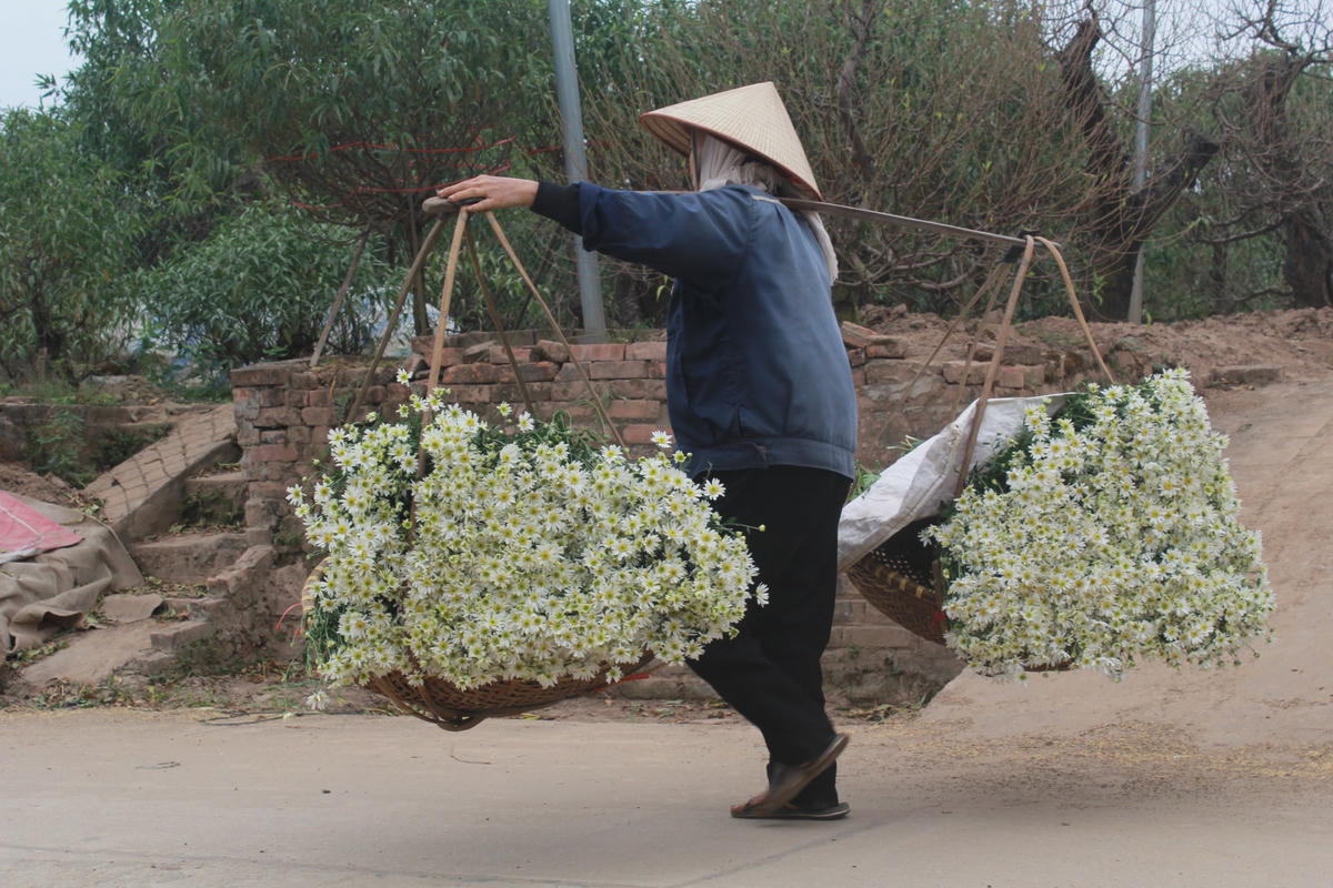 Gánh làng vào phố