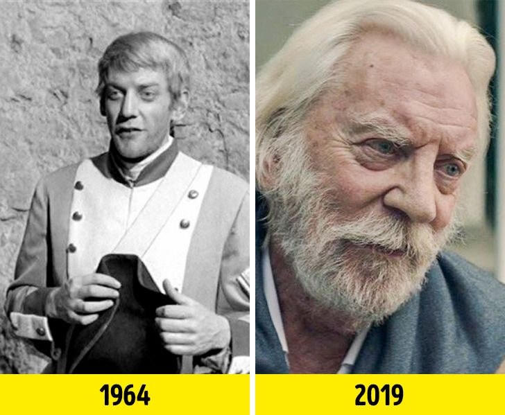 Những ngôi sao Hollywood có sự nghiệp đồ sộ nhất