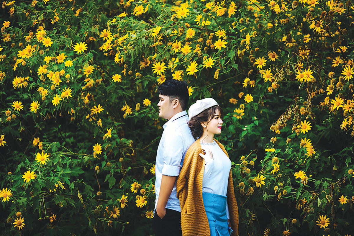 Giới trẻ thường hẹn nhau “check in” khi mùa hoa dã quỳ về.