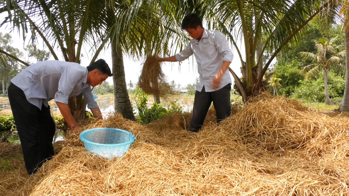 Ở huyện Hồng Dân tỉnh Bạc Liêu mô hình này hiện đang ngày càng phát triển mạnh giúp nhiều nông dân vươn lên khá giả.