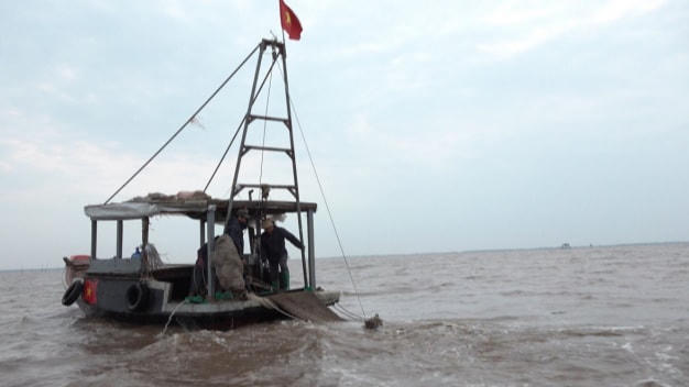 “Cuộc chiến ngao - cát” ở Hải Phòng vẫn chưa có hồi kết.  