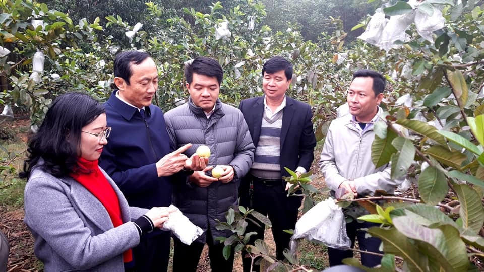 MTTQ và các tổ chức thành viên các cấp ở Hà Tĩnh đóng vai trò quan trọng trong việc tuyên truyền, vận động Nhân dân xây dựng NTM.