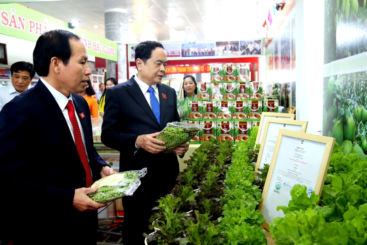 Nhiều sản phẩm rau sạch, an toàn được giới thiệu với các đại biểu dự Đại hội.