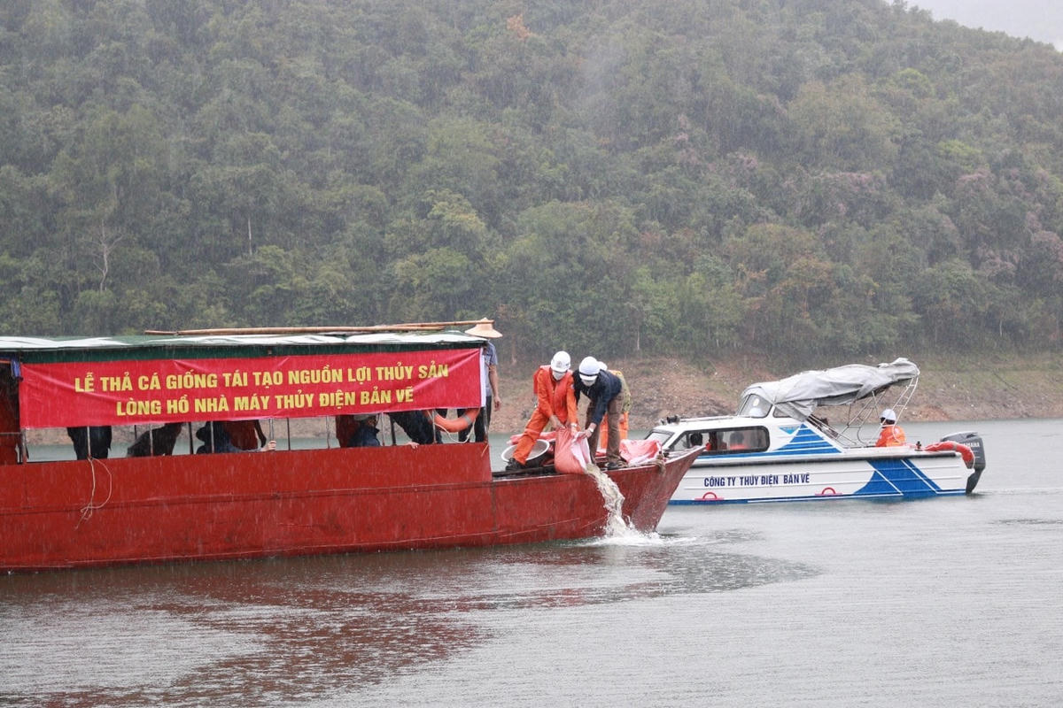 Trong sáng ngày 16/3 vừa qua, đại diện chính quyền địa phương, Công ty Thủy điện Bản Vẽ đã tiến hành thả lượng lớn cá vào lòng hồ nhằm phục hồi và tái tạo nguồn lợi thủy sản.