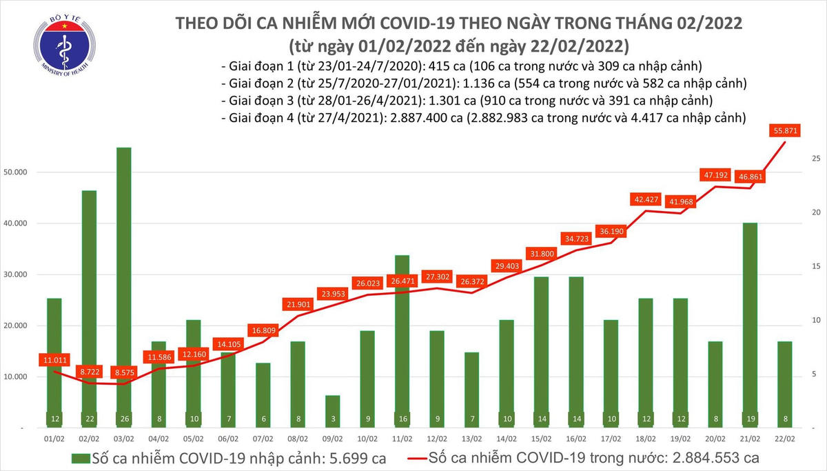 Biểu đồ số ca mắc mới Covid-19 tại Việt Nam tính đến chiều ngày 22/2.