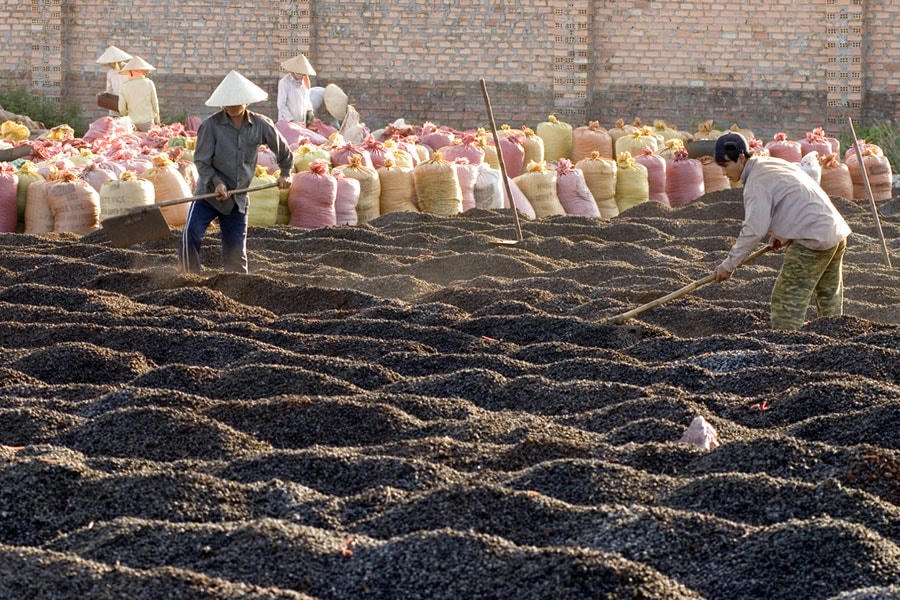 Cà phê là mặt hàng nông sản tiềm ẩn nhiều bất ổn về giá cả.