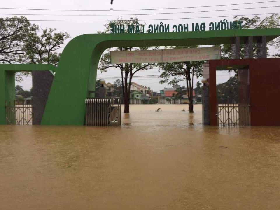 Trường ĐH Nông Lâm ngập sâu trong lũ.