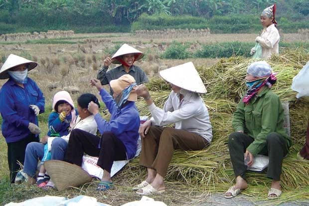 Việc làm, thu nhập cho lao động nữ ở khu vực nông thôn Nam Định được Đại hội nhìn nhận vẫn đang là một vấn đề. 