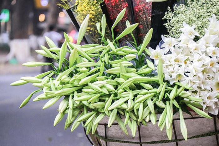 Mùa hoa tháng Tư