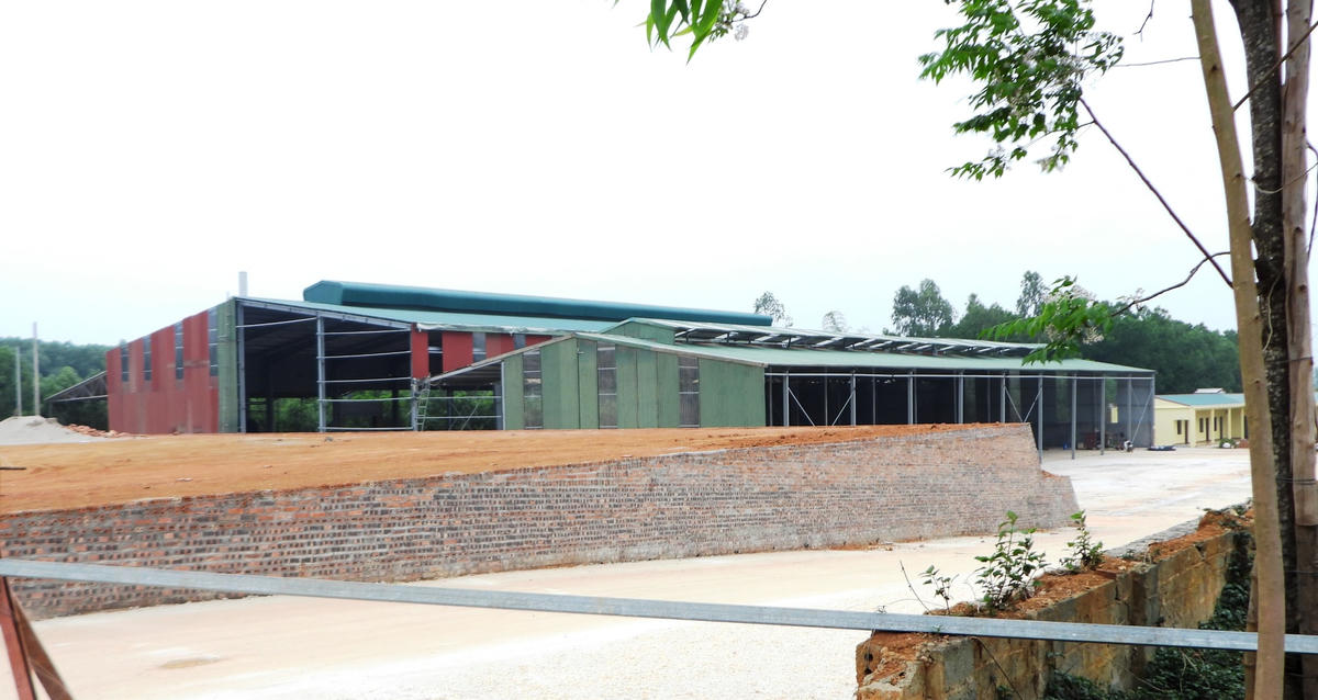 Hệ thống nhà máy sản xuất và chế biến gỗ không phép của Công ty TNHH Minh Thắng “mọc” không phép trên đất rừng sản xuất tại xã Dân Quyền.