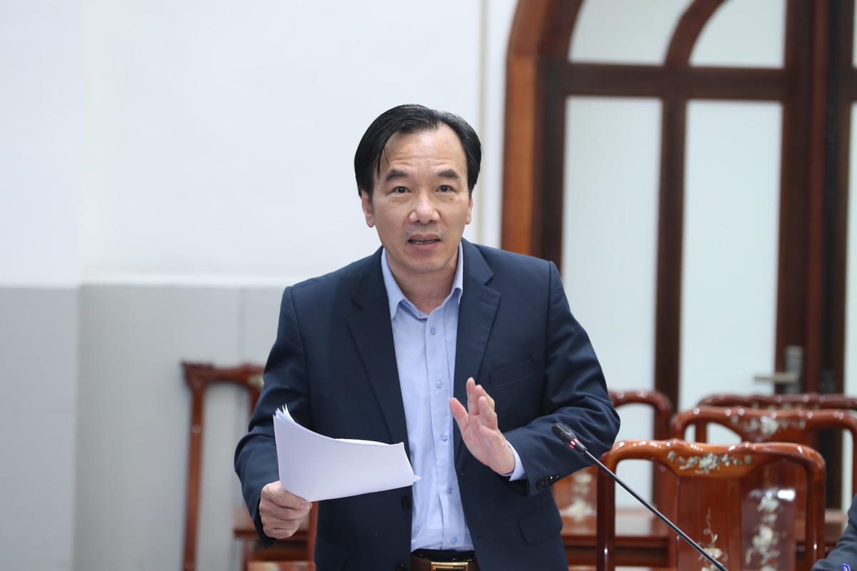 Phó Chủ tịch Ngô Sách Thực phát biểu tại cuộc họp.