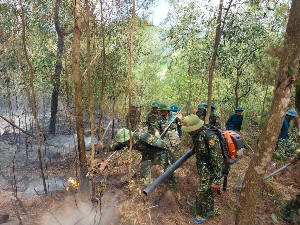 1.Để khống chế vụ cháy, huyện Diễn Châu đã huy động lực lượng của 5 xã với hàng trăm người dập lửa cứu rừng.