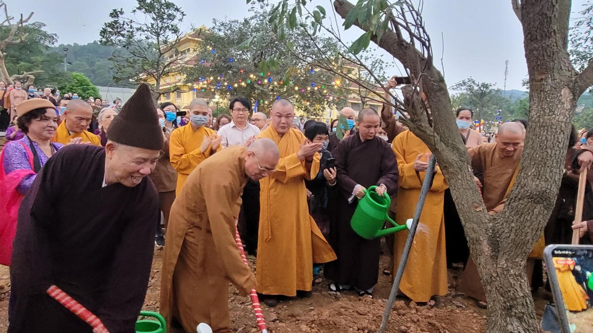 Việc trồng cây xanh là đang tạo lại môi trường sống.