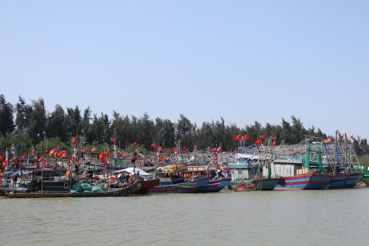 [Ảnh]: Giá xăng dầu tăng cao, hàng nghìn tàu cá Thanh Hóa 'mắc cạn'