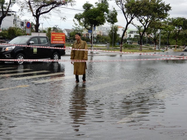 Đà Nẵng: Nhiều cây xanh bật gốc, người dân ra biển bắt cá sau bão