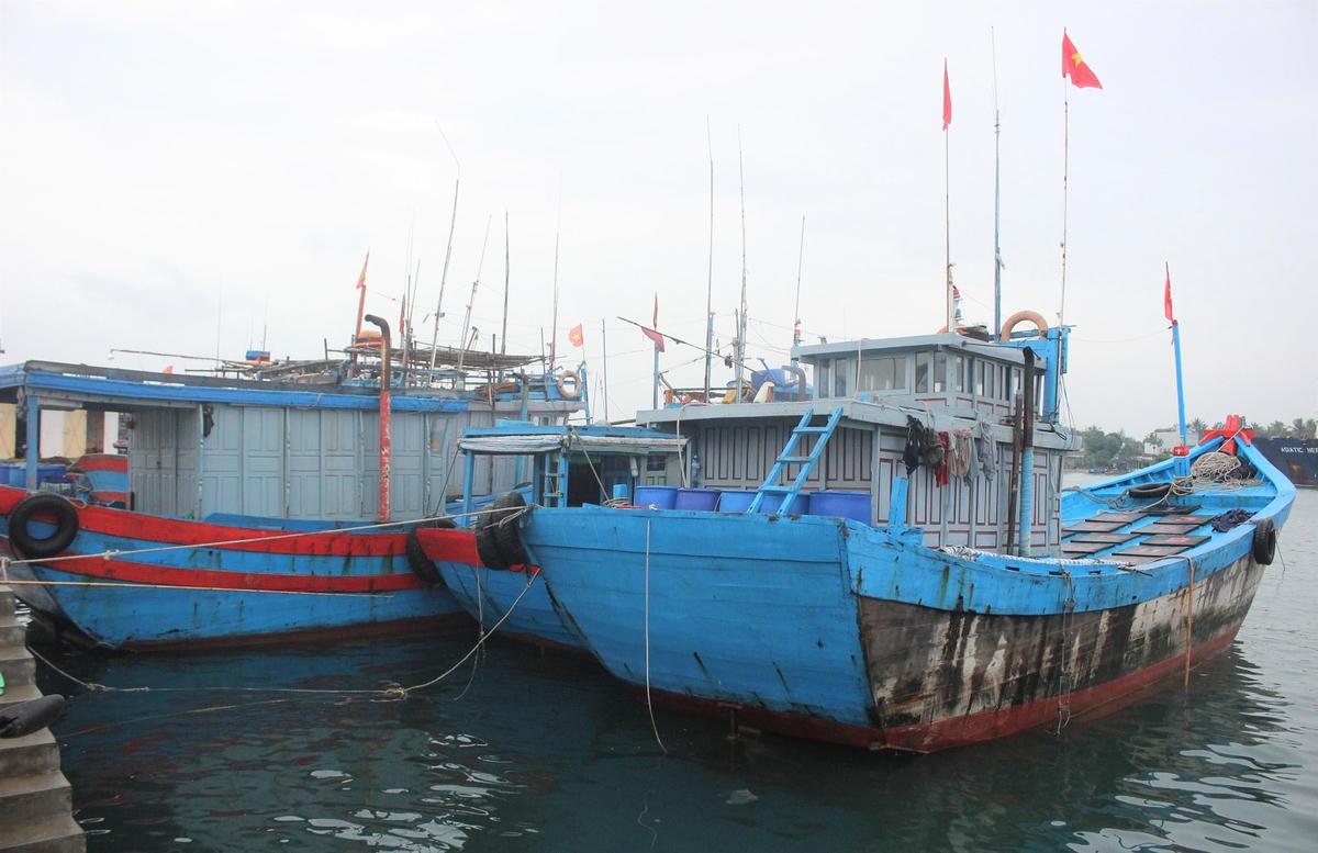 Các tàu cá Quảng Nam vào bờ trú tránh áp thấp nhiệt đới.