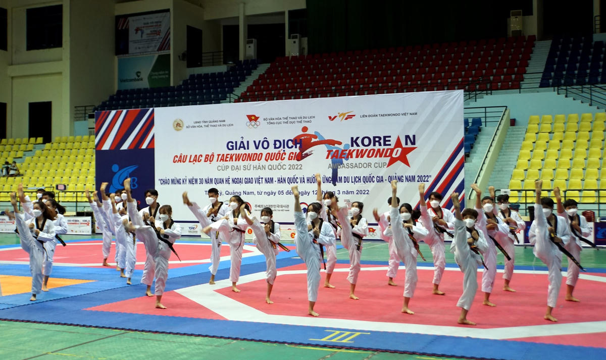 Một tiết mục biểu diễn Taekwondo tại buổi lễ khai mạc.
