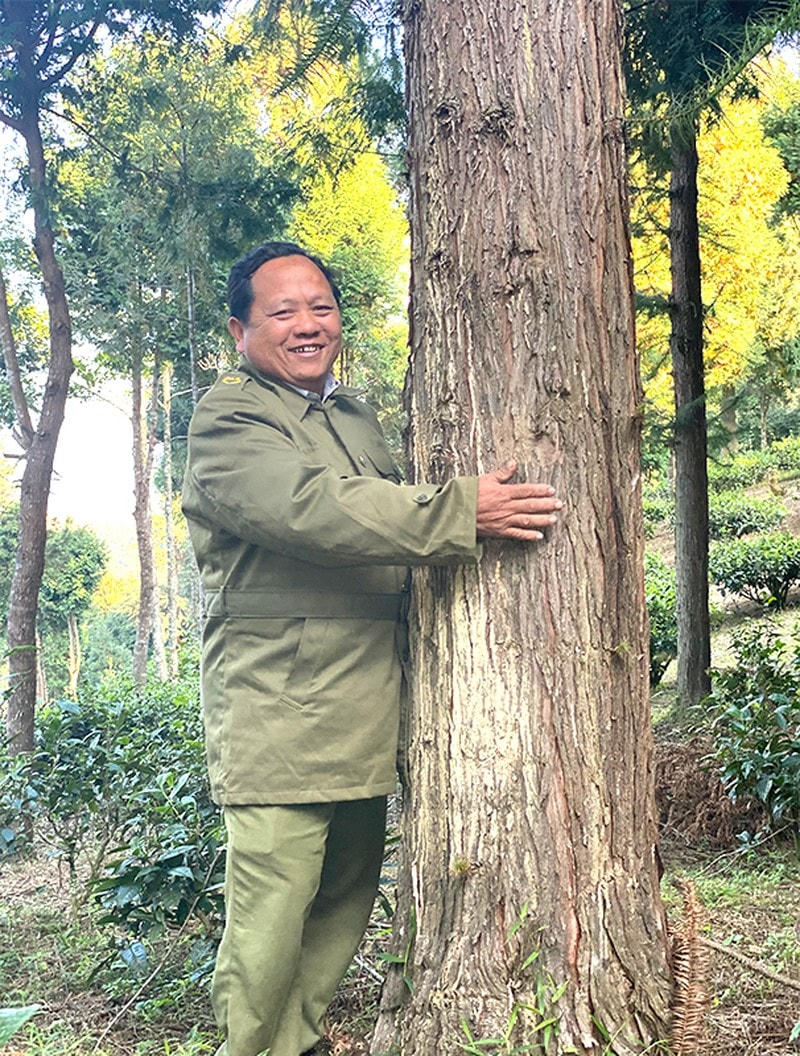 Ông Vừ Vả Chống: “Mỗi cái cây lớn lên như một người bạn của mình, bán đi thì tiếc lắm”. Ảnh: PLO.