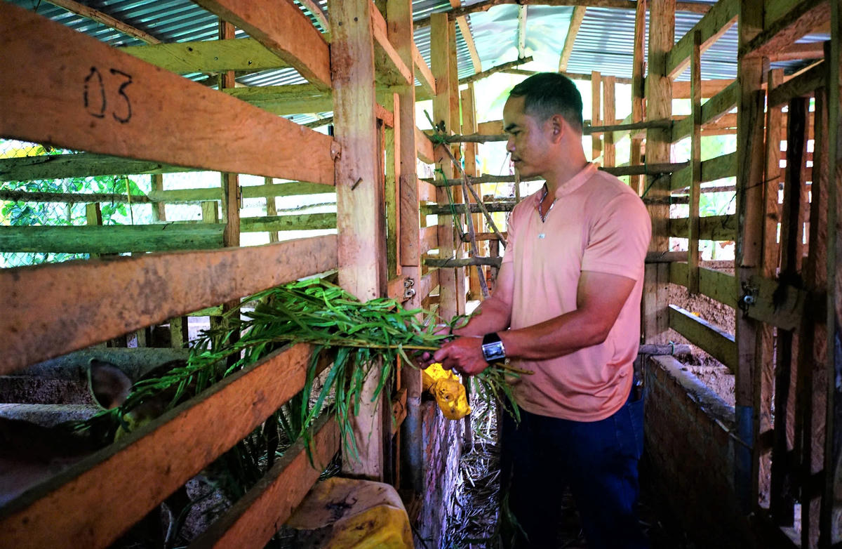 Nông dân BNướch Ngang thành công với mô hình nuôi hươu lấy nhung. Ảnh: Chí Đại.