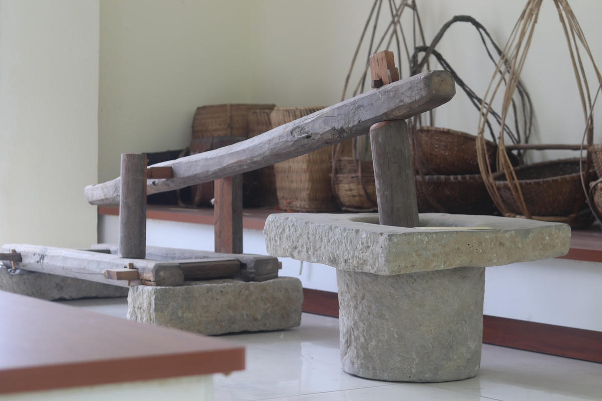 'Bảo tàng' nông nghiệp độc đáo ở xứ Thanh