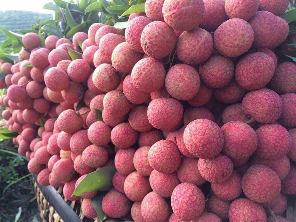 ảnh dưới thay