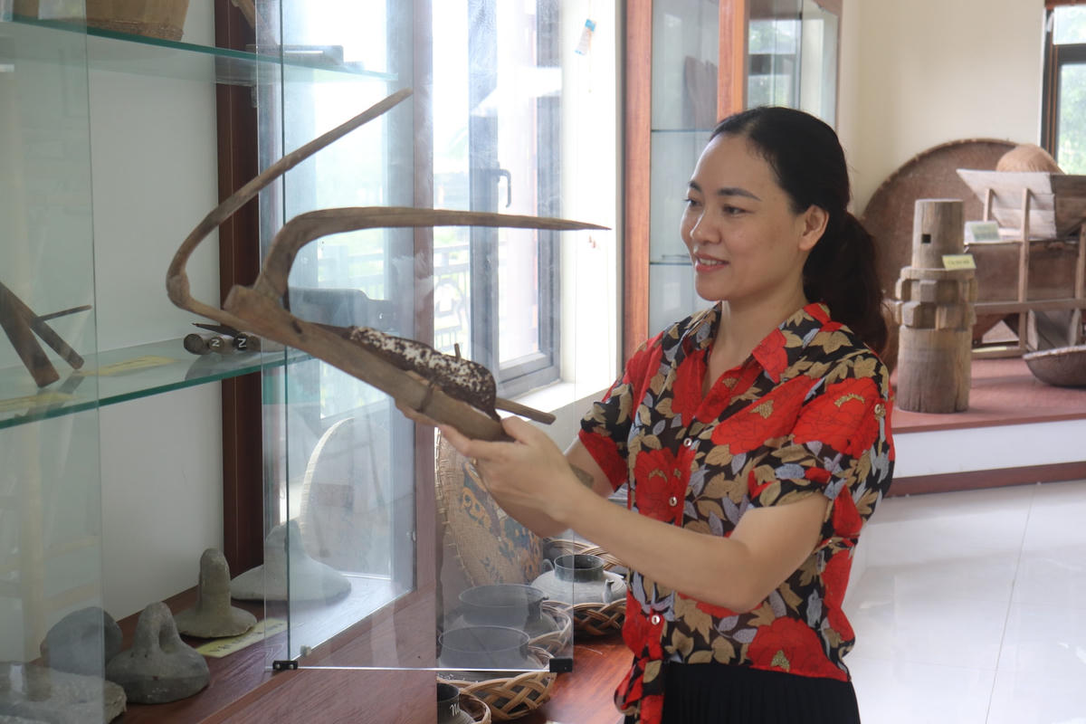 Nhóm công cụ làm cỏ gồm nạo, dao phạt, liềm... Ảnh: Đình Minh