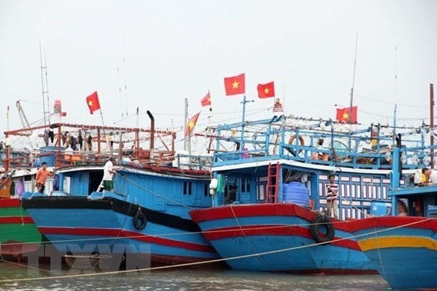 Tàu thuyền neo đậu tránh trú bão. (Ảnh minh họa: TTXVN).