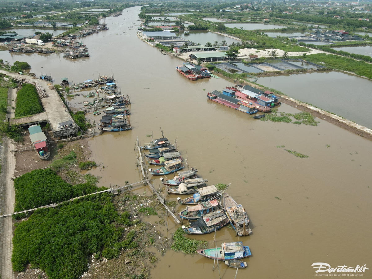 dji_fly_20240905_140504_241_1725519919227_photo (1)