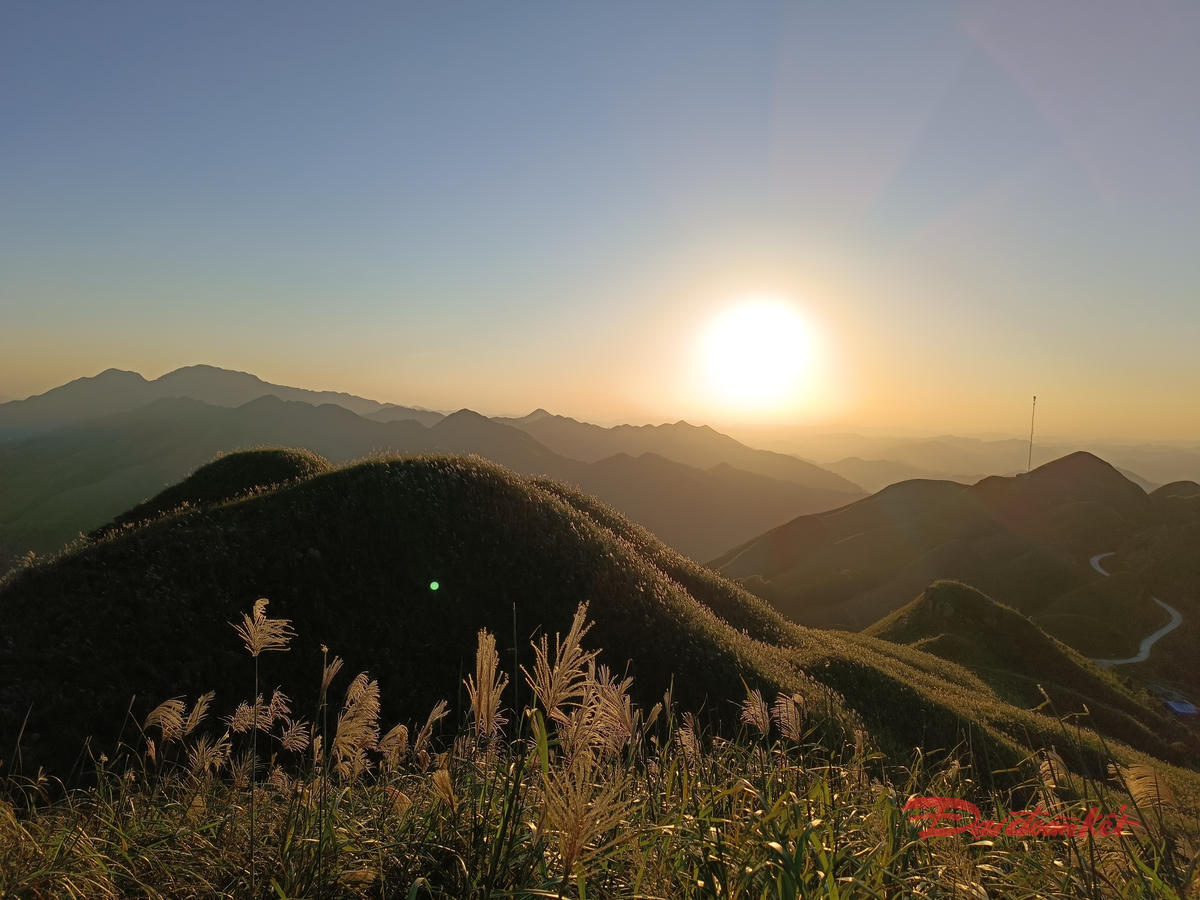 Cỏ lau và hoàng hôn thơ mộng trên biên giới tạo nên cảnh sắc huyền ảo, diệu kỳ. Ảnh: Đức Bằng.