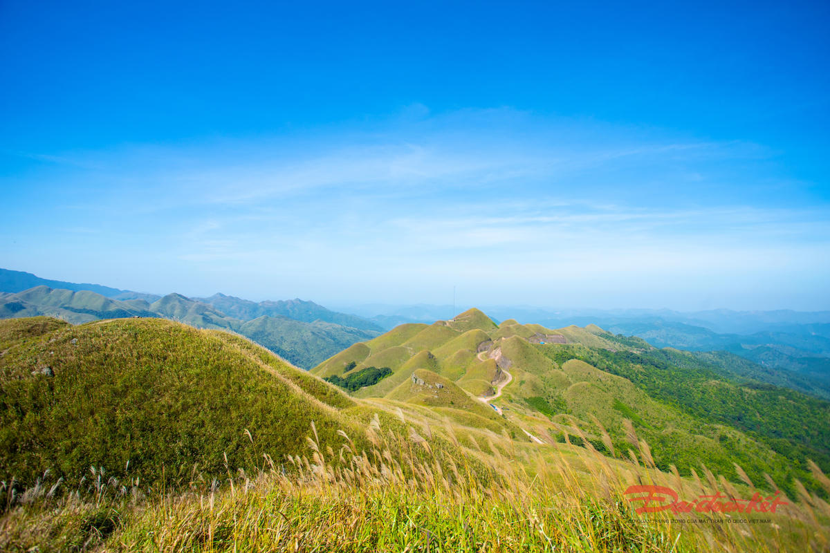 Những ngọn đồi núi ở Lục Hồn vào mua hoa lau chuẩn bị nở bung. Ảnh: Đức Bằng.