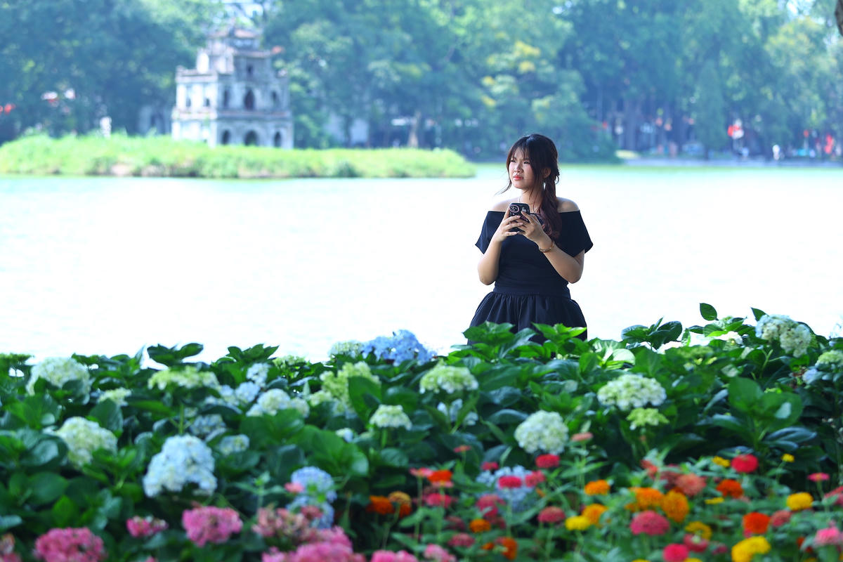 Những khóm hoa quanh Hồ Hoàn Kiếm có điểm nhấn là nền Tháp Rùa cổ kính, giúp du khách có những bức ảnh đẹp mắt.
