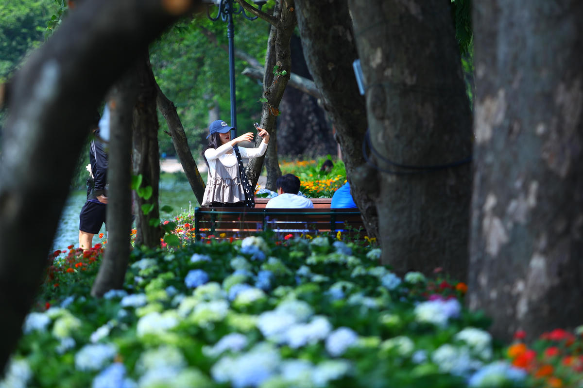 Theo ghi nhận của PV Báo Đại đoàn kết, những ngày đầu Thu, Hồ Gươm 'thay áo mới' rực rỡ muôn vàn sắc hoa, trở thành điểm hẹn thu hút đông đảo người dân và bạn trẻ đến chụp ảnh, lưu giữ những khoảnh khắc đẹp.