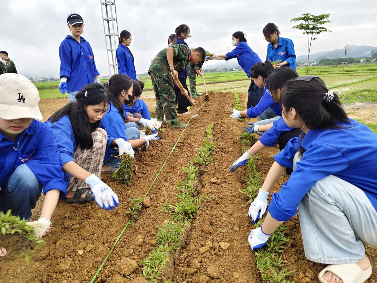 Tuổi trẻ Ninh Bình đồng loạt ra quân hưởng ứng Ngày chủ nhật xanh lần thứ V, năm 2025. Ảnh: V.Vân.