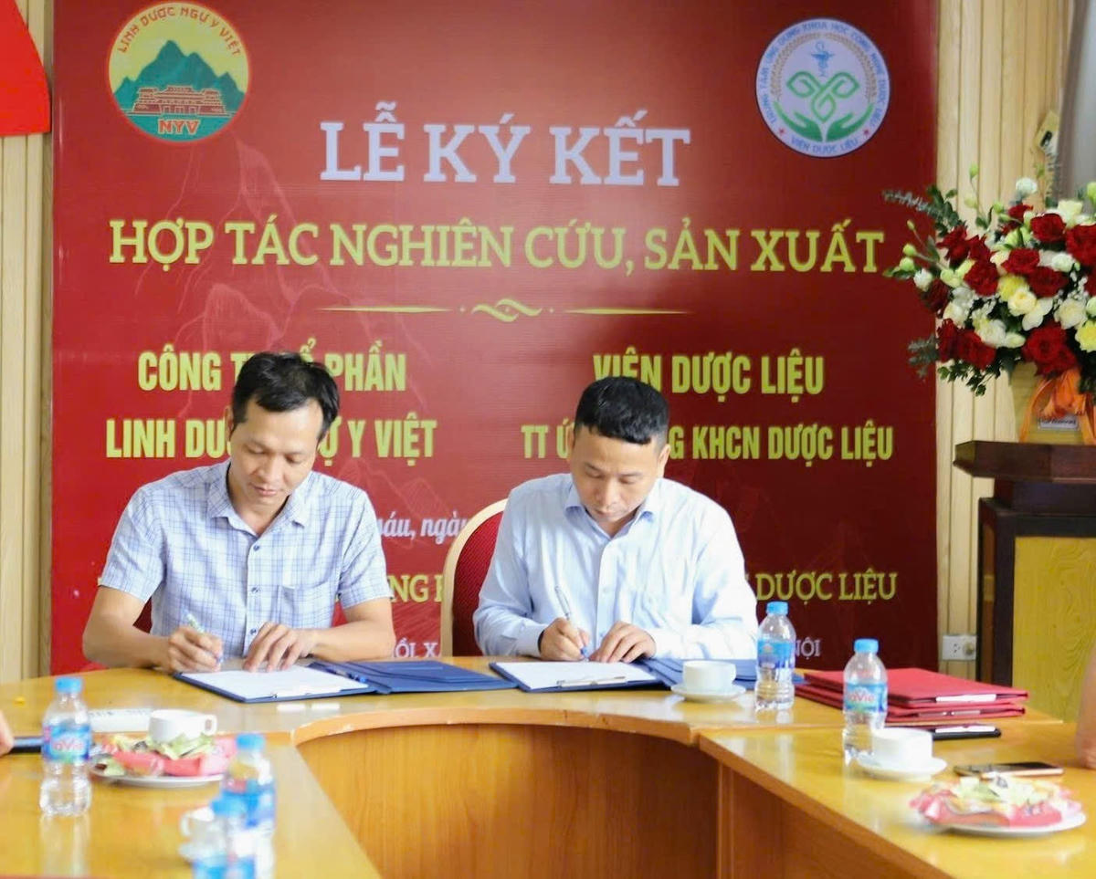 Khẳng định chất lượng, Linh Dược Ngự Y Việt hợp tác chiến lược với Viện Dược liệu Trung ương
