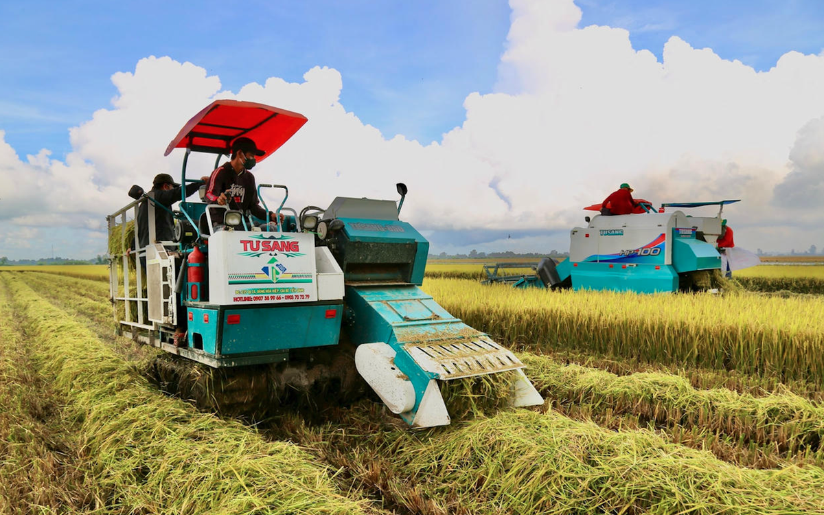 Cánh đồng tham gia mô hình thí điểm tại Hợp tác xã Tiến Thuận (TP Cần Thơ).	ảnh: thanh tiến