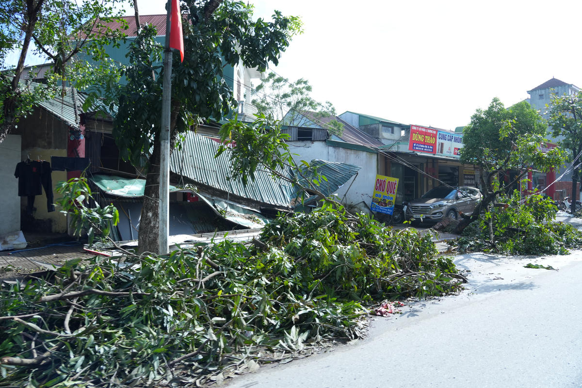 Những thiệt hại nặng nề do cơn bão số 5 (bão Kajiki)