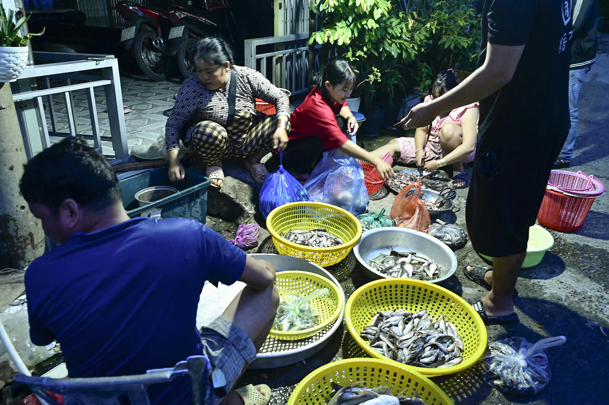 Hình ảnh rất dễ bắt gặp từ khuya đến sáng sớm ở “chợ ma” cá đồng Vĩnh Tế. Ảnh Nguyễn Minh