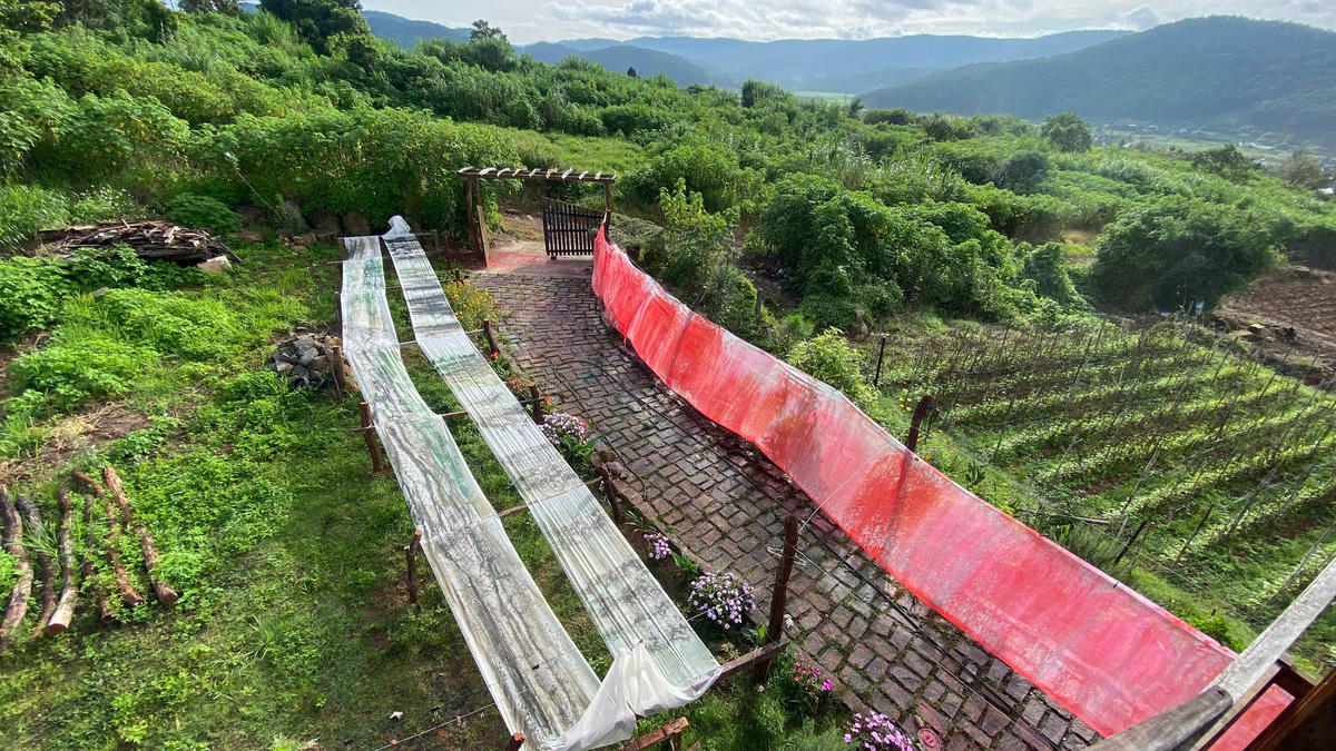 Một phần tác phẩm được sáng tác tại xưởng dưới chân đèo Prenn - Đà Lạt.