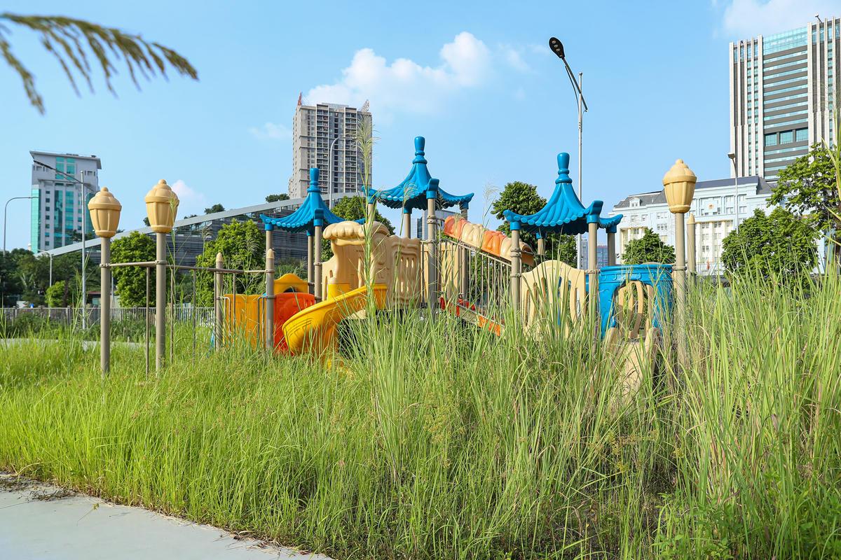 Hình ảnh cỏ dại mọc gần che kín cả các món đồ chơi tại công viên.