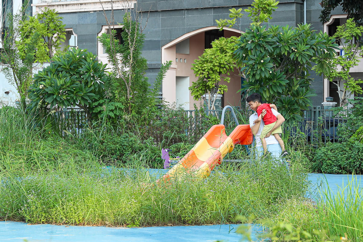 Theo ghi nhận của PV Báo Đại đoàn kết, chỉ sau khoảng 1 năm đi vào hoạt động bên trong công viên và hồ điều hòa CV1 xuất hiện tình trạng cỏ dại mọc cao ngang đầu người.