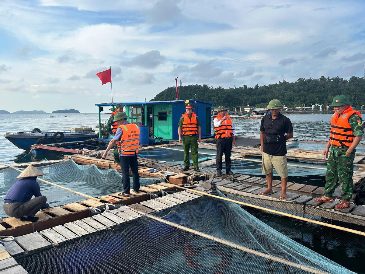 Đồn Biên phòng Thanh Lân phối hợp với lực lượng Công an và các tổ công tác của đặc khu Cô Tô nhắc nhở ngư dân triển khai gia cố lại các lồng bè nuôi trồng thủy sản và về nơi tránh trú an toàn.