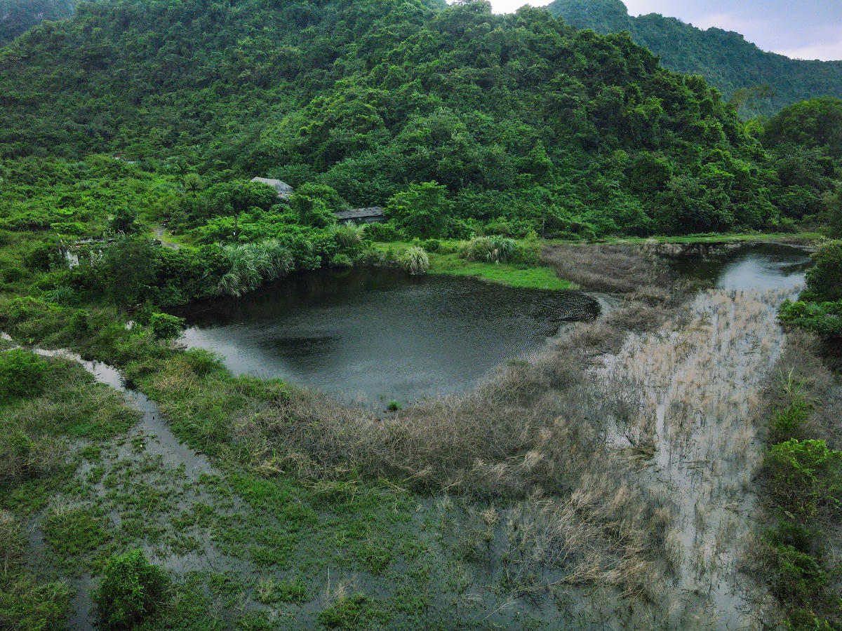 Trang trại của anh Nguyễn Mạnh Đạt ở gần bãi rác bị ảnh hưởng nghiêm trọng vì ô nhiễm. Ảnh: Đình Minh